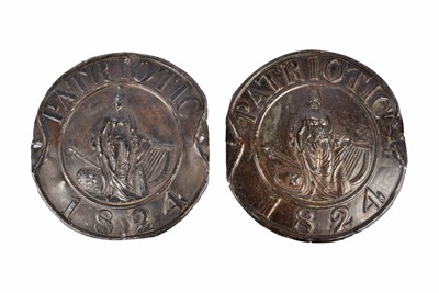 Lot 9 - A 19th Century circular lead Patriotic Insurance Company firemark