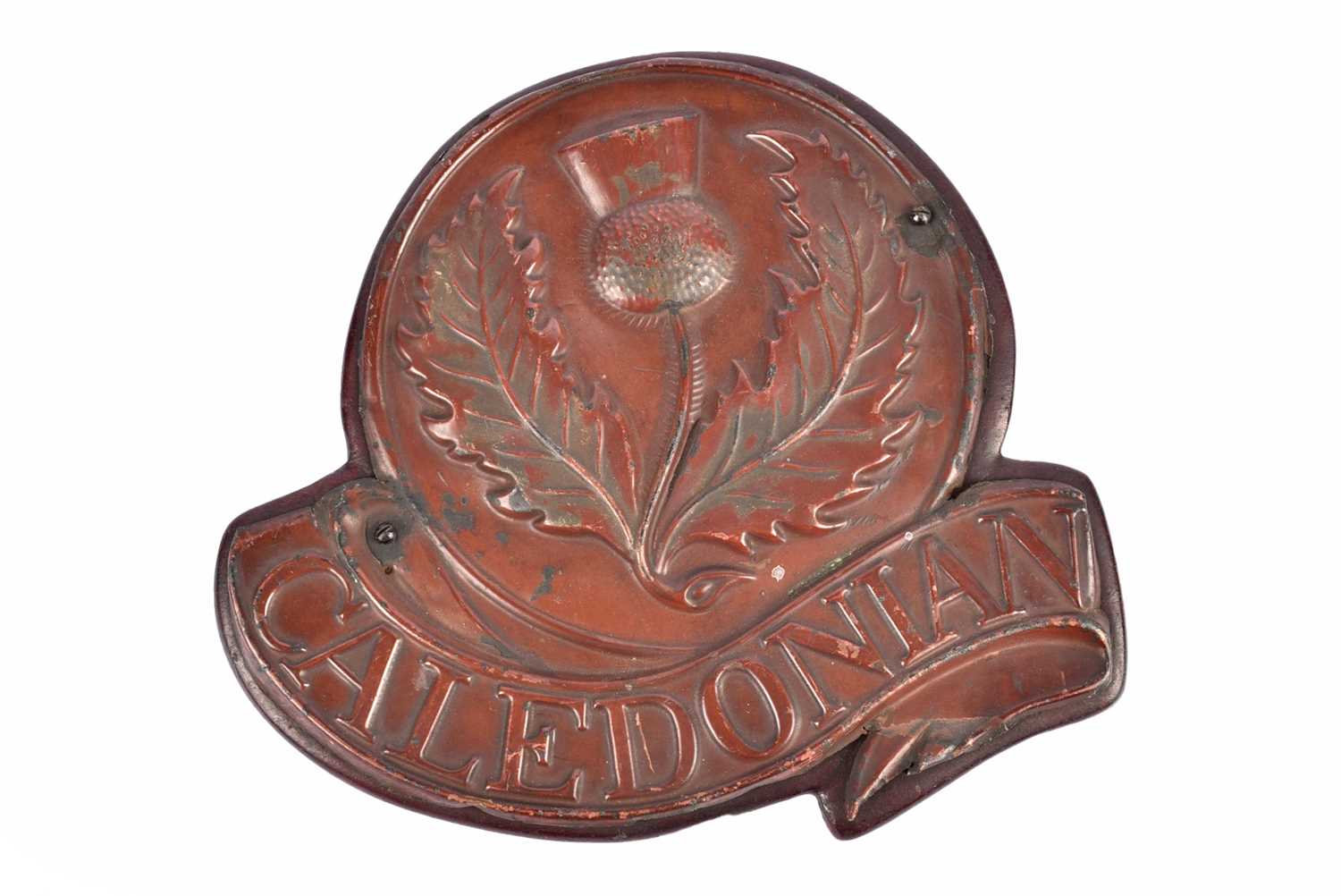 Lot 14 - A 19th Century copper mounted on wooden plaque Caledonian Insurance Company sign