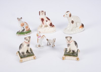 Lot 384 - Dogs and cats