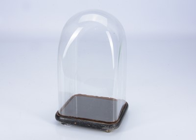 Lot 455 - An 19th century glass dome