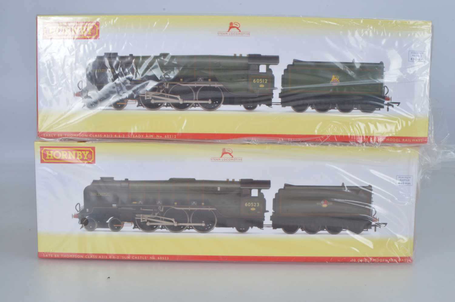 Lot 12 - Pair of Hornby (China) boxed 00 Gauge BR green Thompson Class A2/2            Locomotives and Tenders (2)