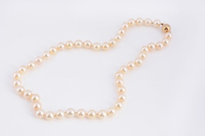 Lot 13 - A uniform knotted cultured pearl necklace
