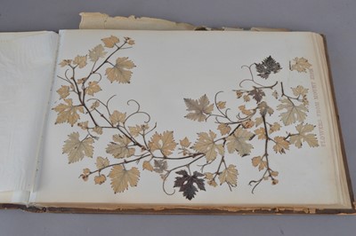 Lot 174 - A Jerusalem album containing pressed flowers
