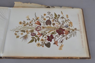 Lot 174 - A Jerusalem album containing pressed flowers