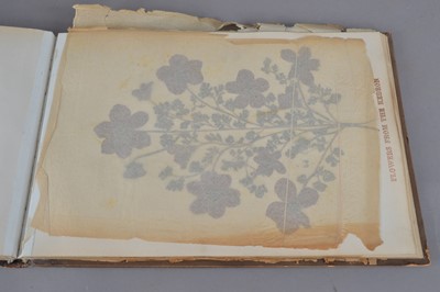 Lot 174 - A Jerusalem album containing pressed flowers