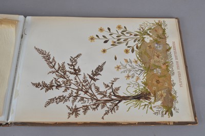 Lot 174 - A Jerusalem album containing pressed flowers
