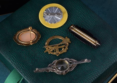Lot 66 - A collection of brooches