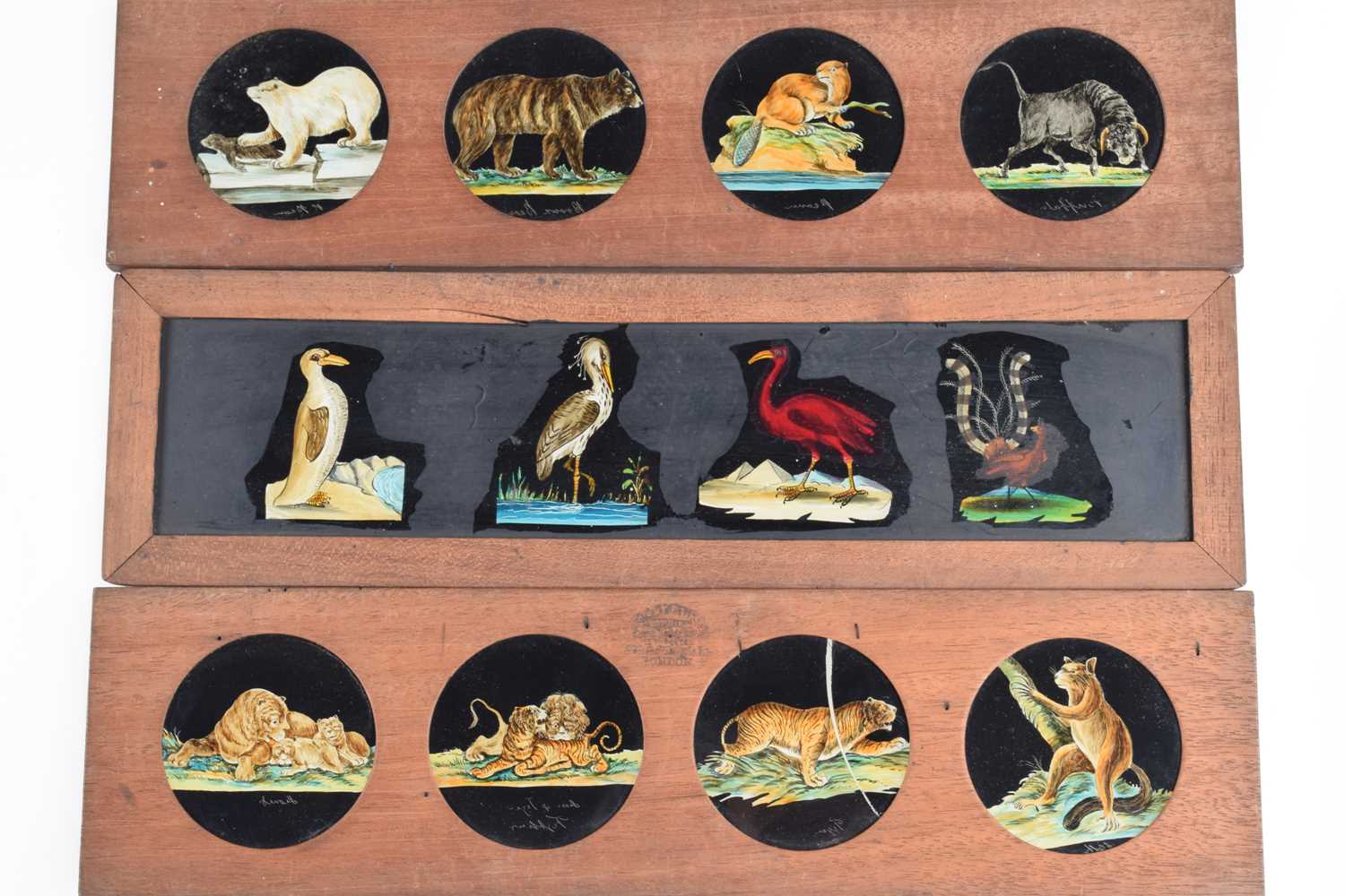 Lot 38 - Six Panoramic Magic Lantern Slides