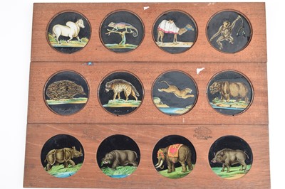 Lot 38 - Six Panoramic Magic Lantern Slides