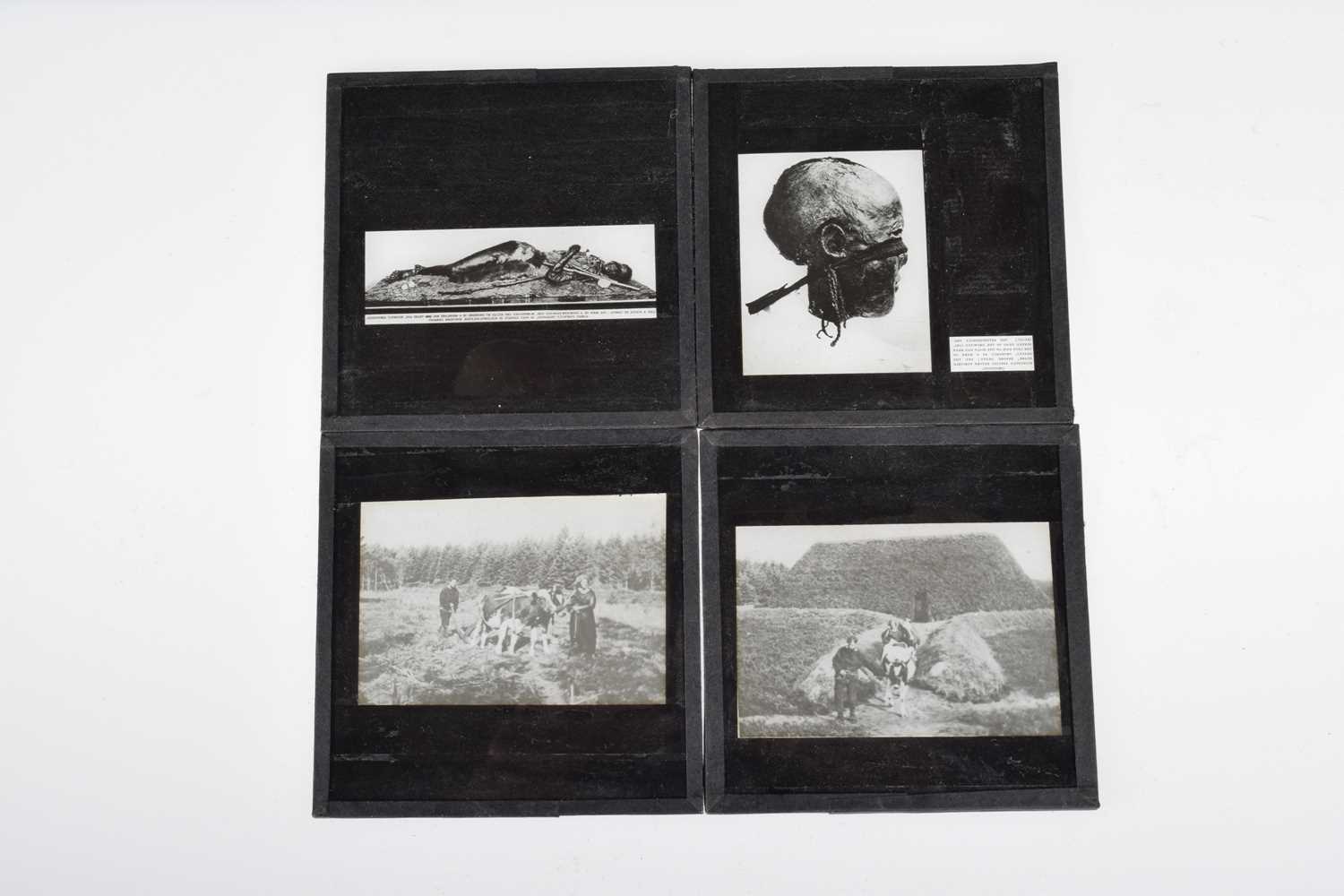 Lot 55 - Approx 300 Archaeological 3¼'' Magic Lantern Slides