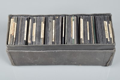 Lot 57 - Approx 80 Entomology 3¼'' Magic Lantern Slides
